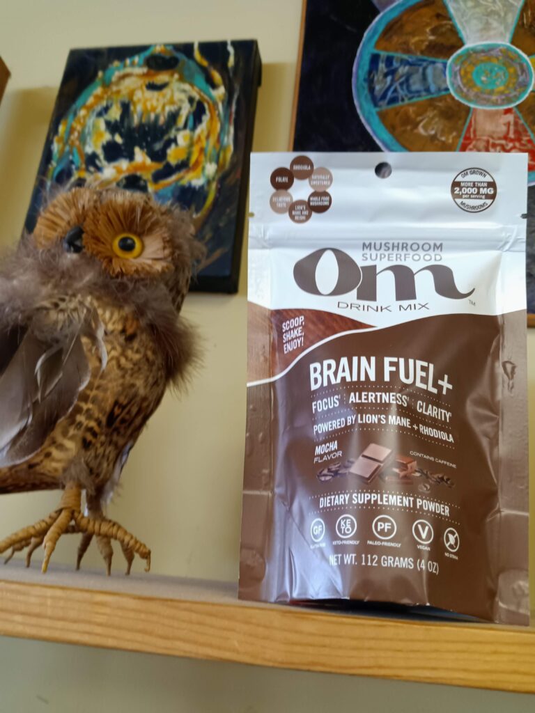 Om Mushrooms Brain Fuel